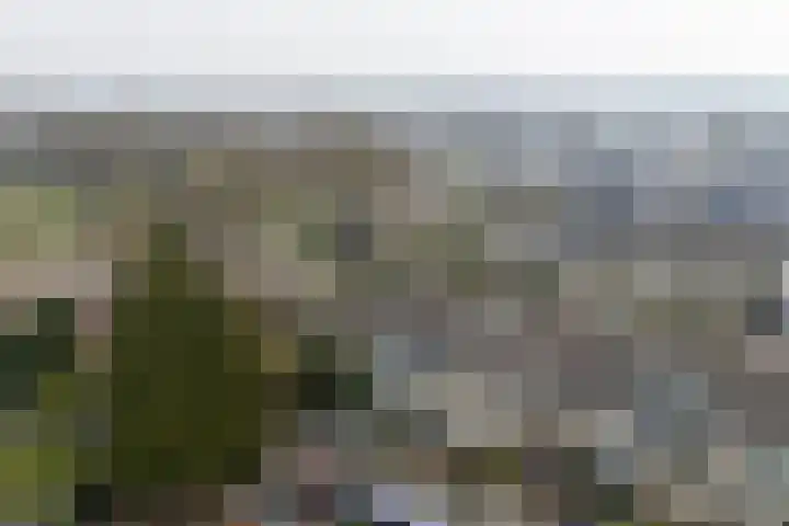 Zwitserlaan 6 Surhuisterveen thumbnail 54