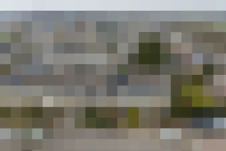 Zwitserlaan 6 Surhuisterveen thumbnail 55