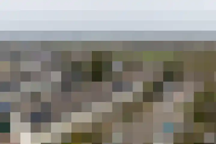 Zwitserlaan 6 Surhuisterveen thumbnail 6