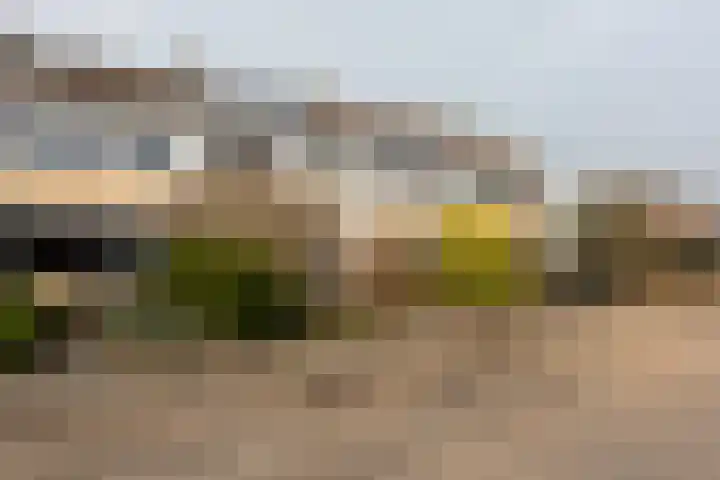 Zwitserlaan 6 Surhuisterveen thumbnail 7