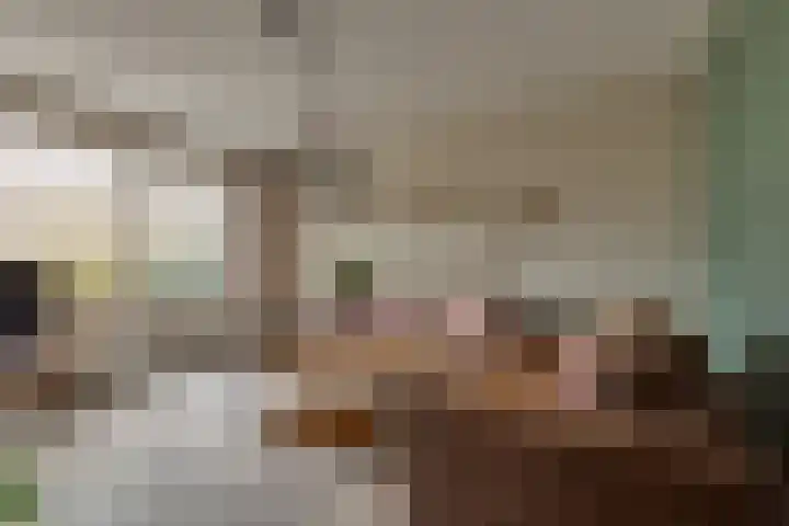 Zwitserlaan 6 Surhuisterveen thumbnail 8