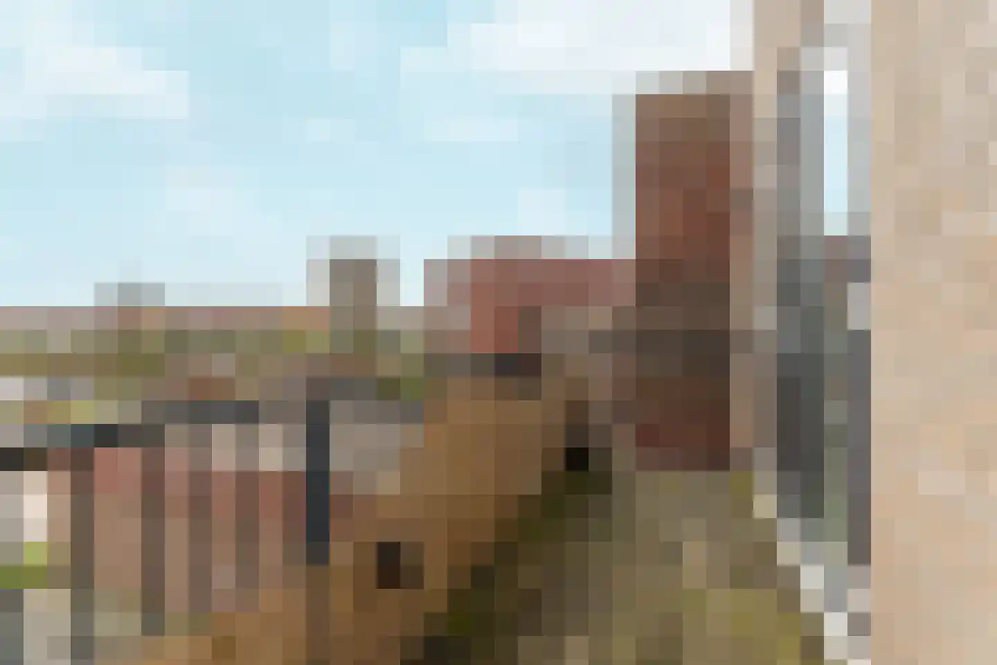 Zwitserlandstraat 10 Almere thumbnail 10