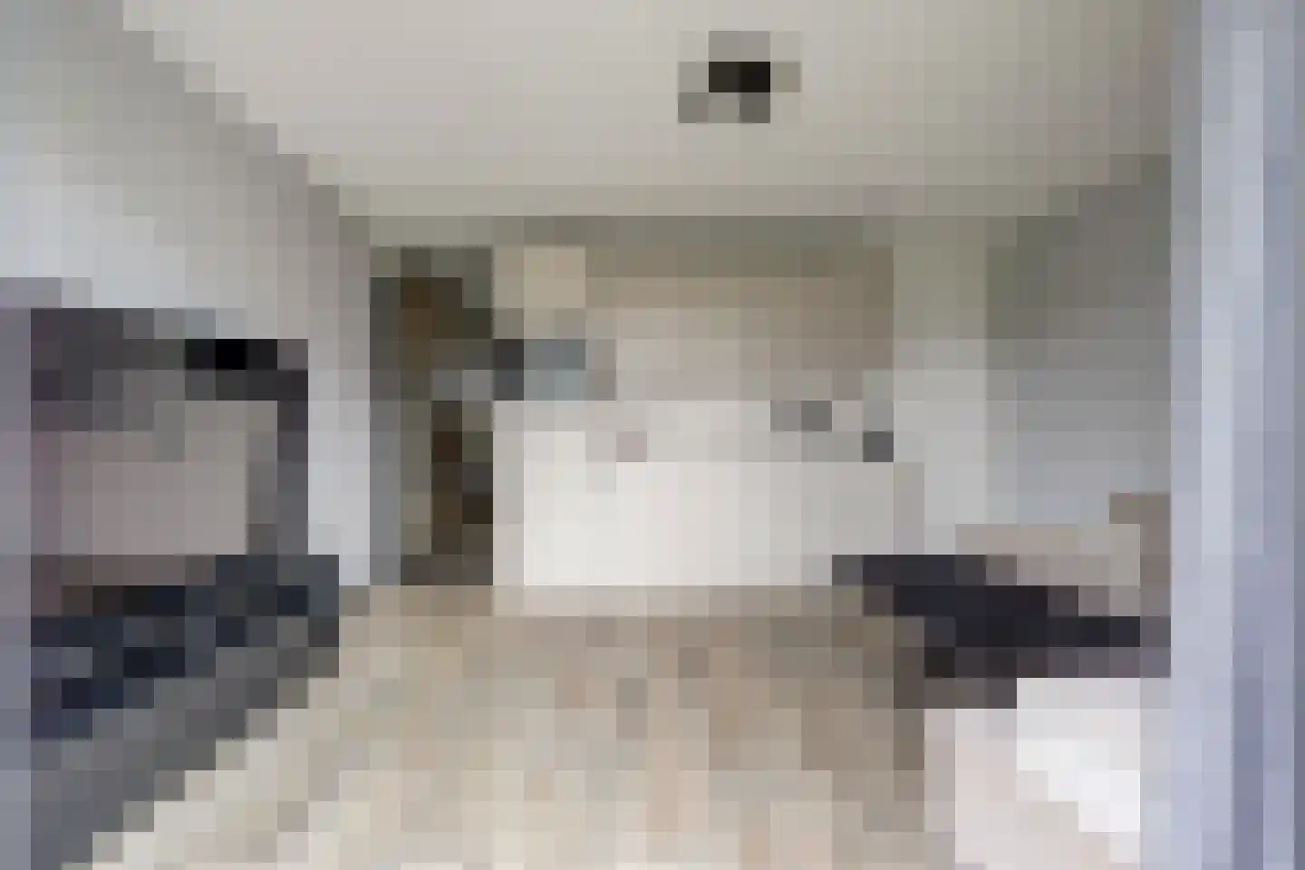 Zwitserlandstraat 25 De Lier thumbnail 11