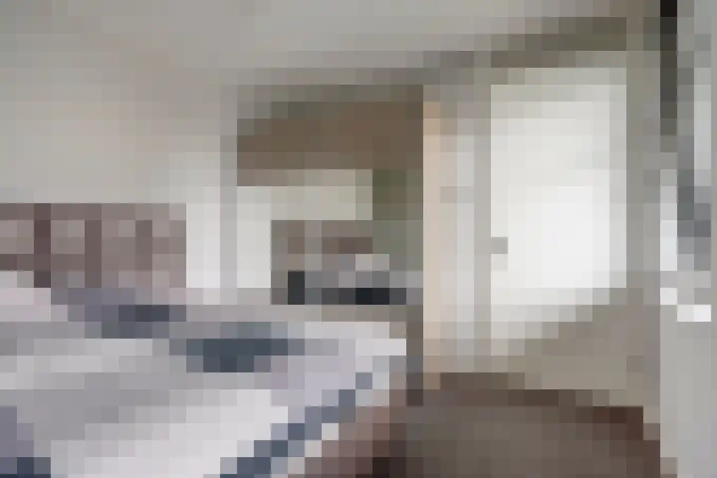 Zwitserlandstraat 25 De Lier thumbnail 13