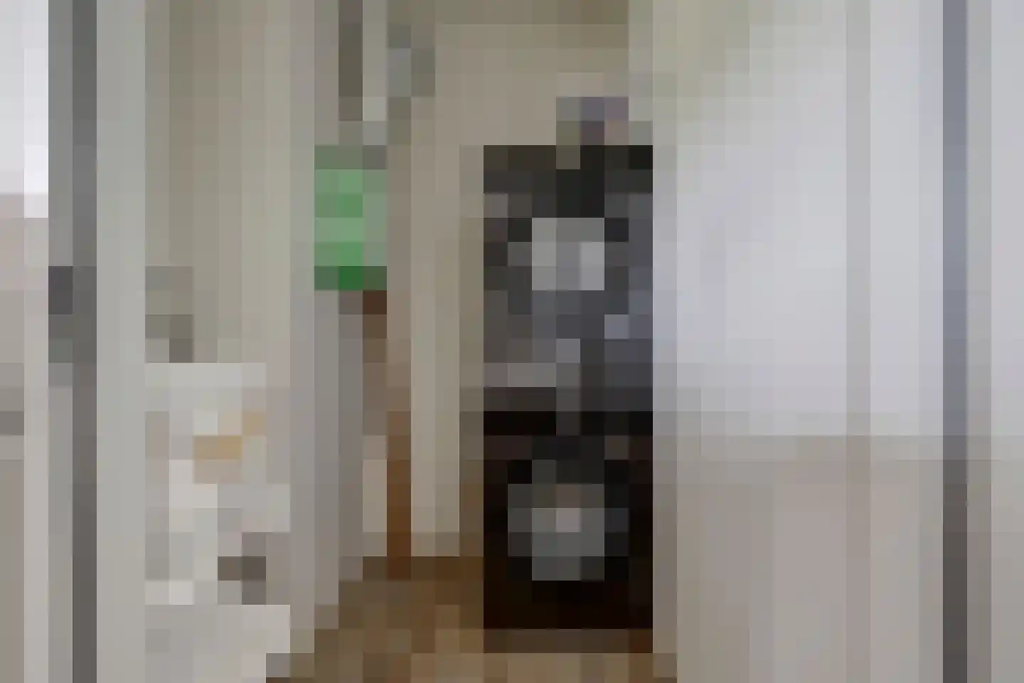 Zwitserlandstraat 25 De Lier thumbnail 15