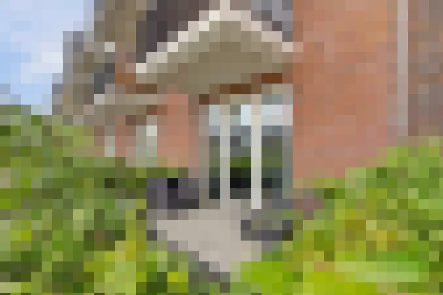 Zwitserlandstraat 25 De Lier thumbnail 16