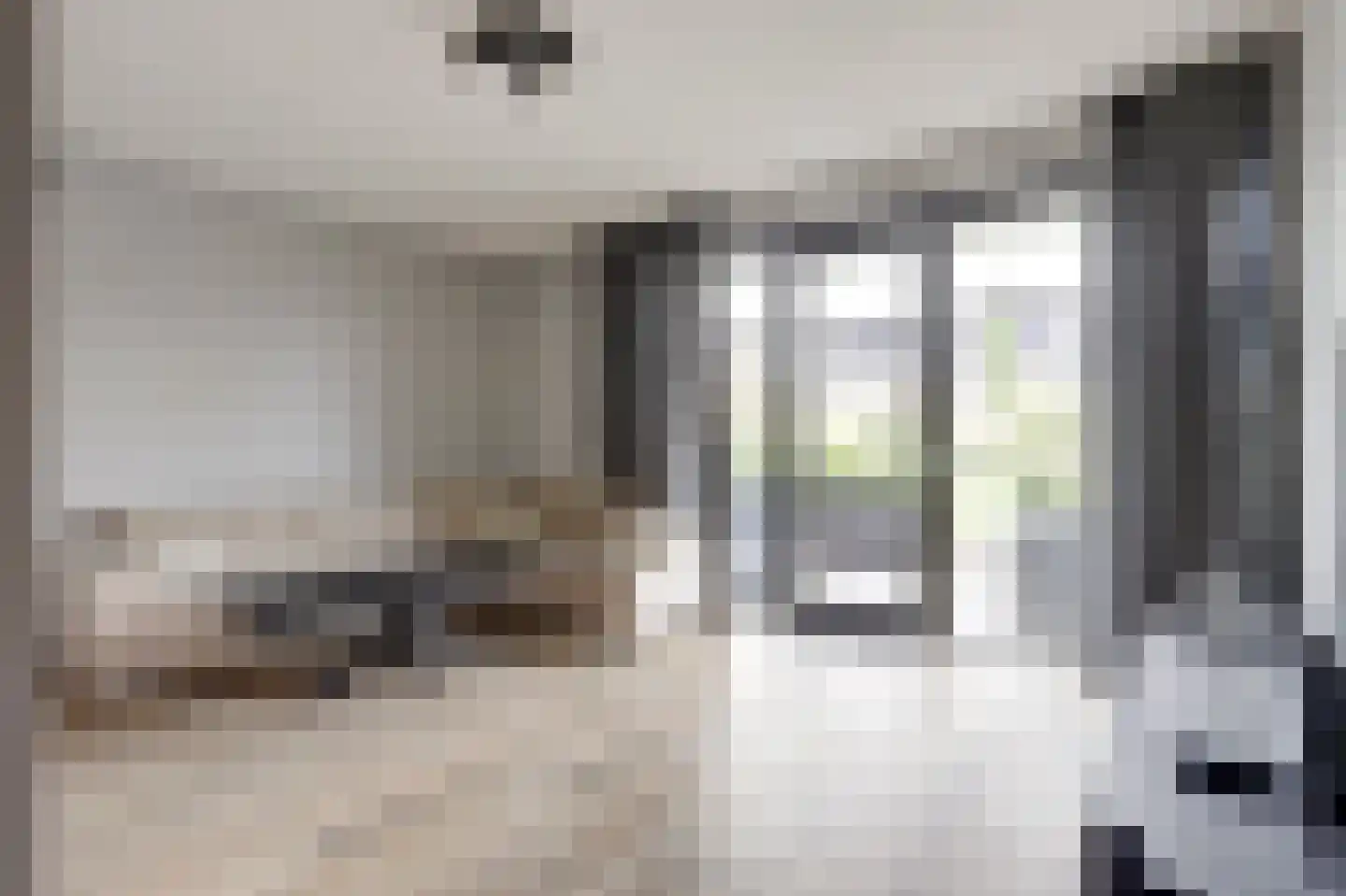 Zwitserlandstraat 25 De Lier thumbnail 4