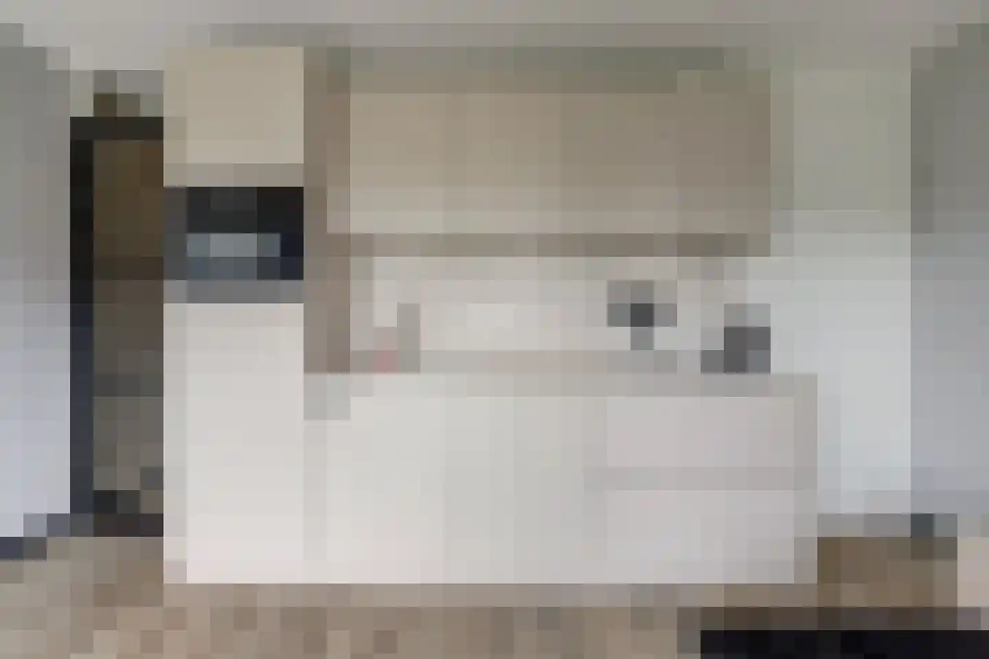 Zwitserlandstraat 25 De Lier thumbnail 5