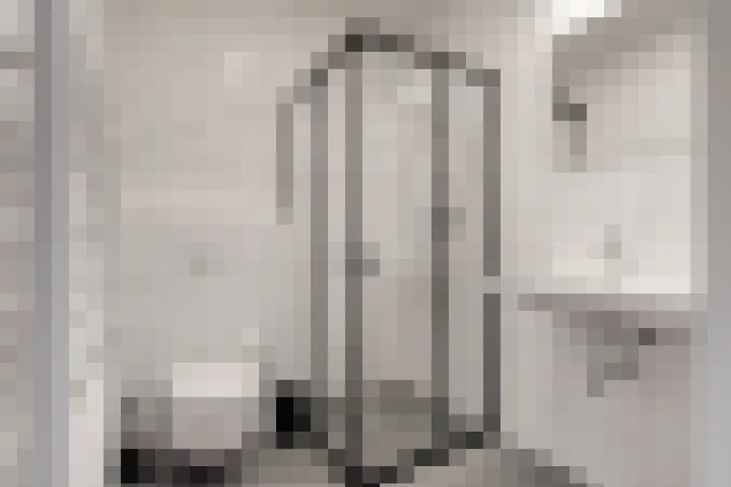 Zwitserlandstraat 25 De Lier thumbnail 6