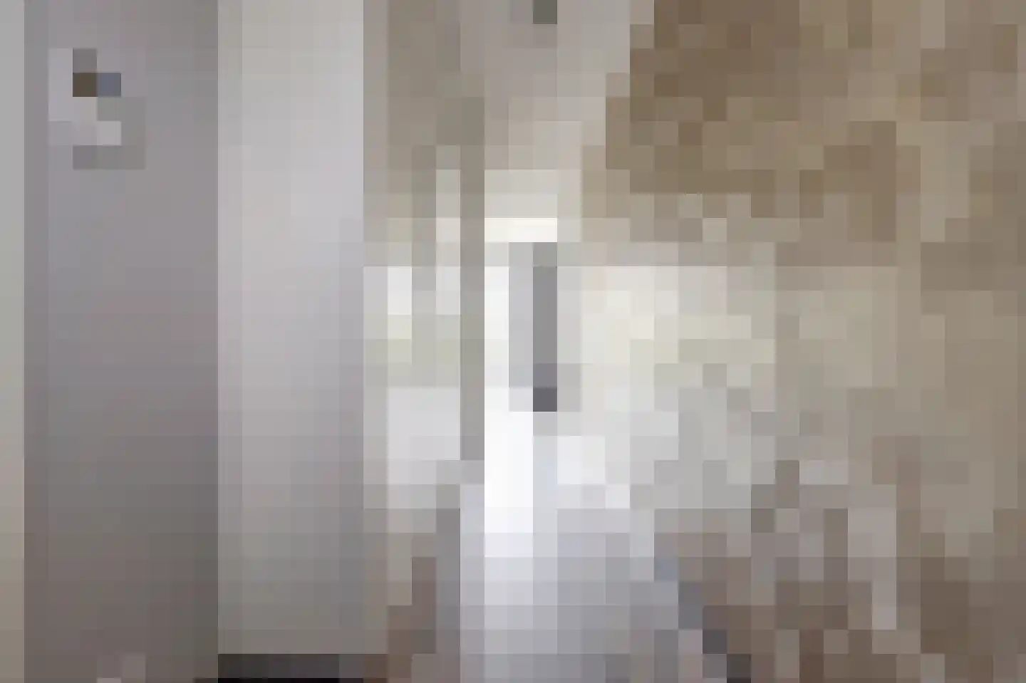 Zwitserlandstraat 25 De Lier thumbnail 8