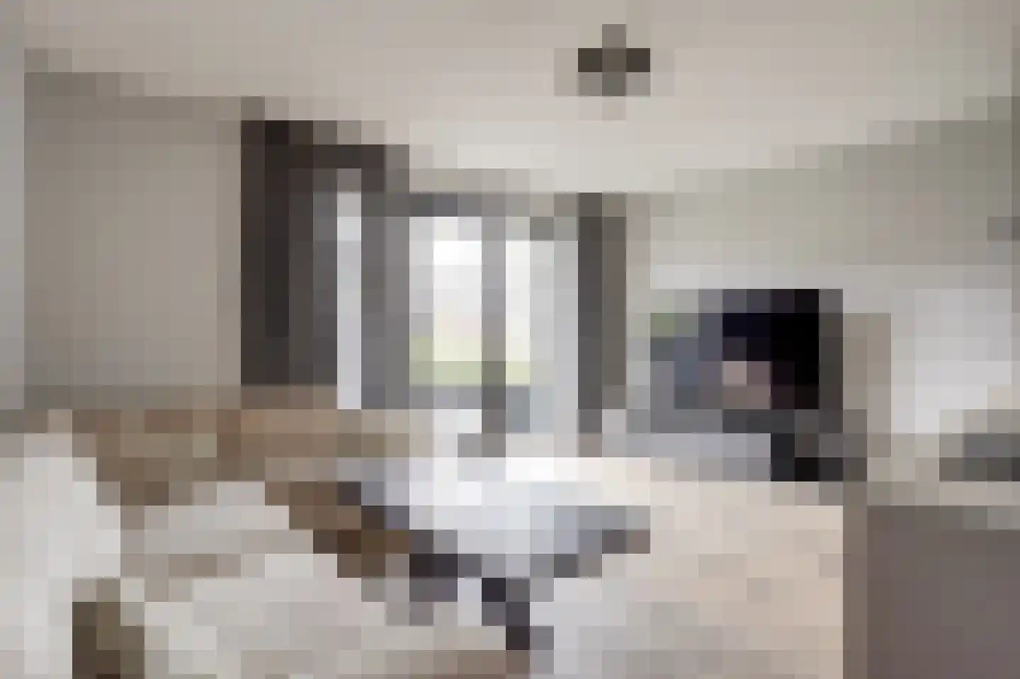 Zwitserlandstraat 25 De Lier thumbnail 9
