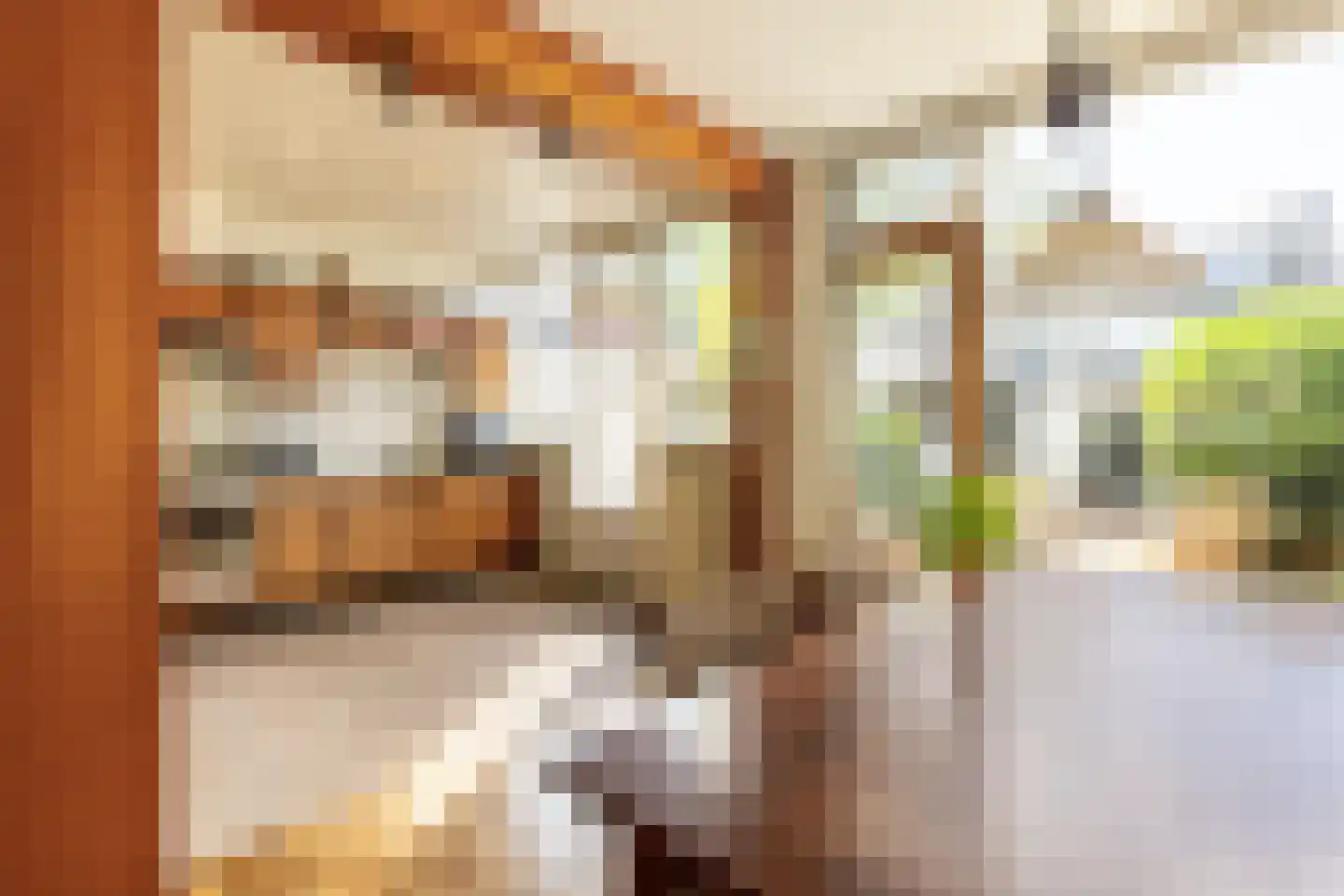 Zwitserlandstraat 26 Haarlem thumbnail 11