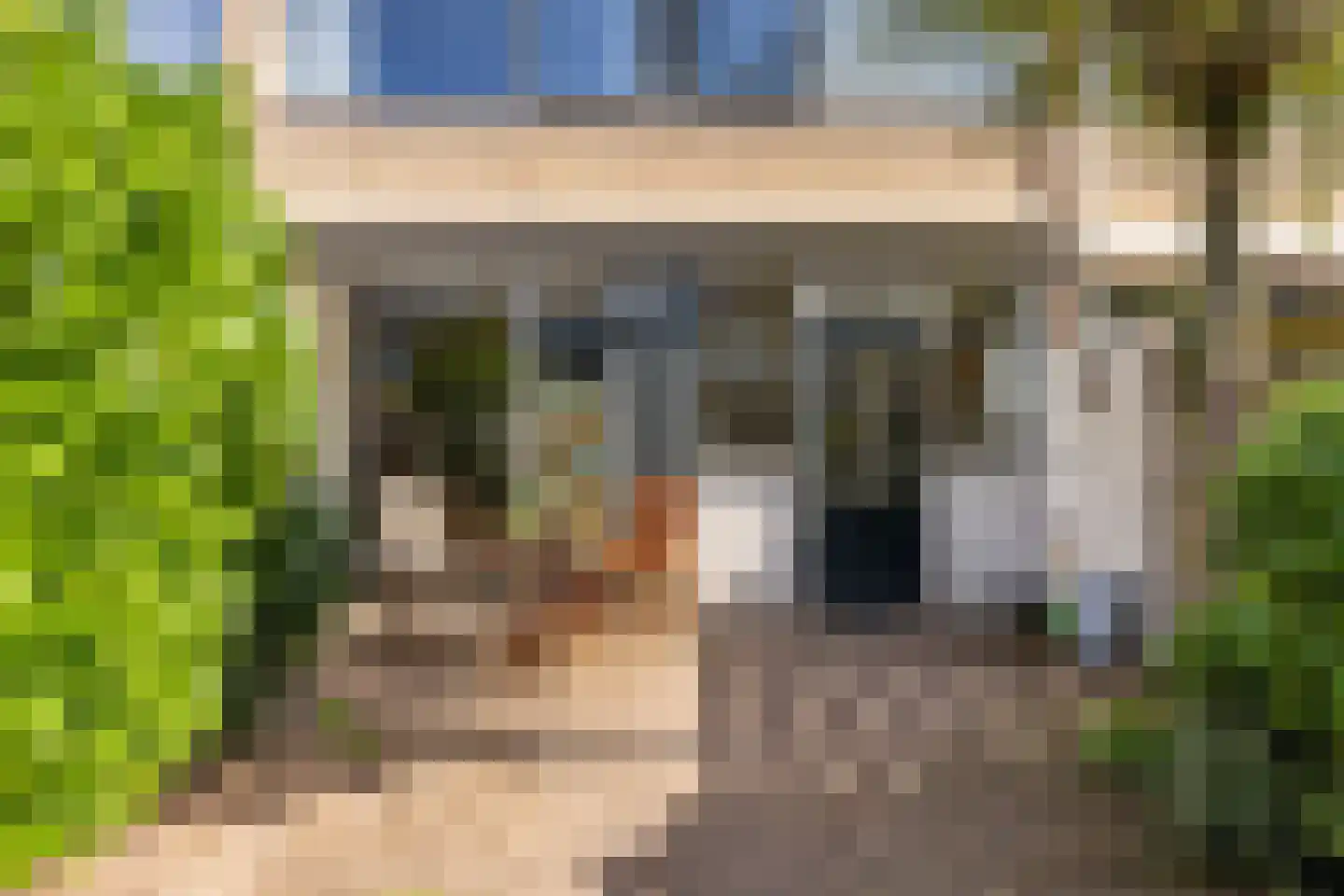 Zwitserlandstraat 26 Haarlem thumbnail 23