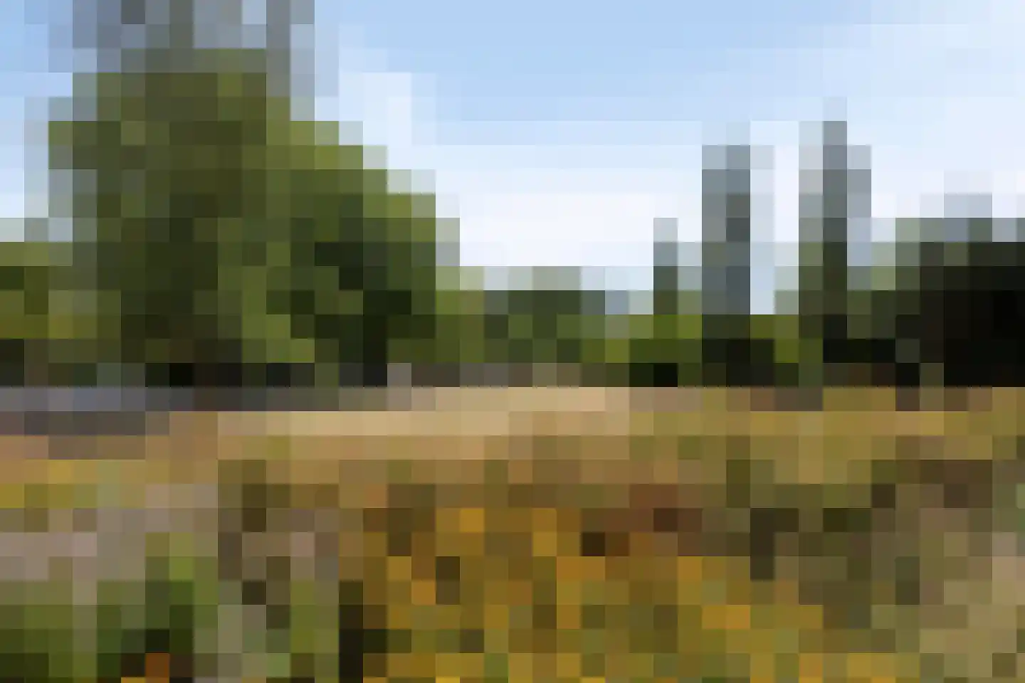 Zwitserlandstraat 3 IJsselstein thumbnail 13