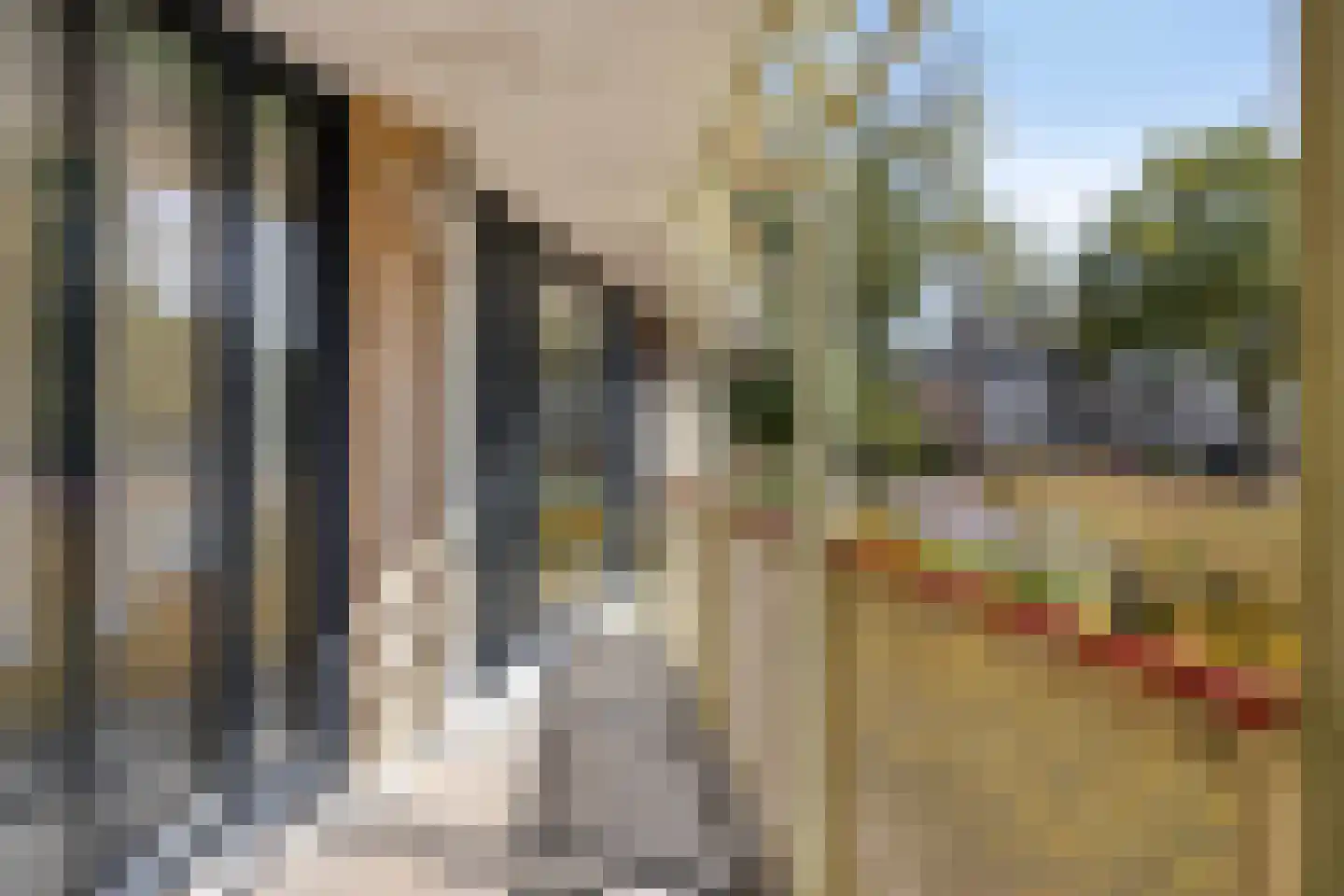 Zwitserlandstraat 3 IJsselstein thumbnail 15