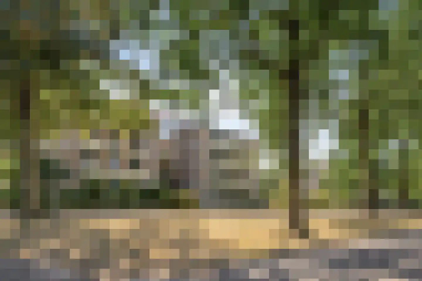 Zwitserlandstraat 3 IJsselstein thumbnail 35
