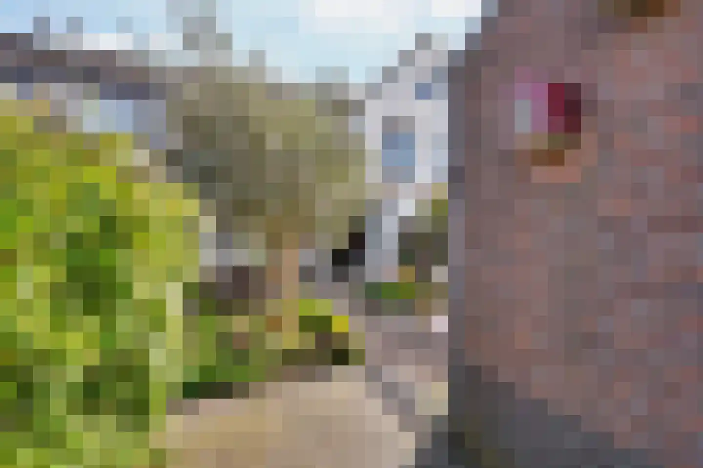 Zwitserlandstraat 30 Alphen aan den Rijn thumbnail 30