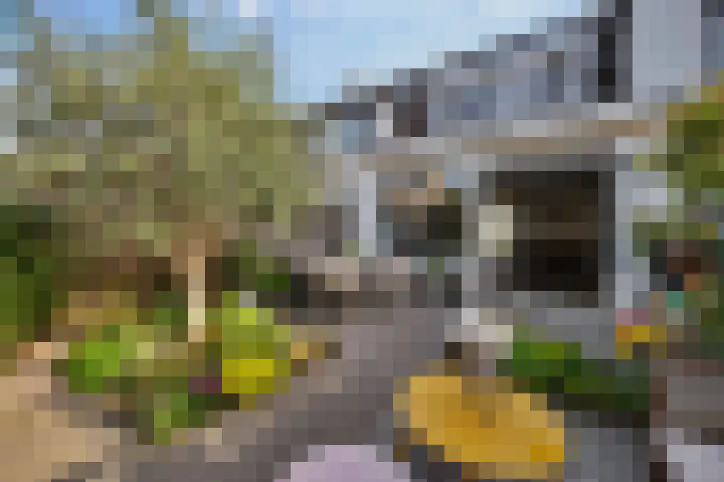 Zwitserlandstraat 30 Alphen aan den Rijn thumbnail 31