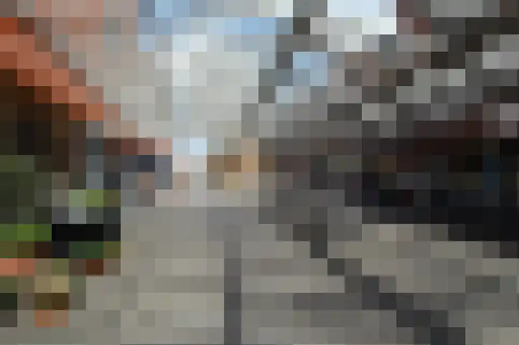 Zwitserlandstraat 30 Alphen aan den Rijn thumbnail 39