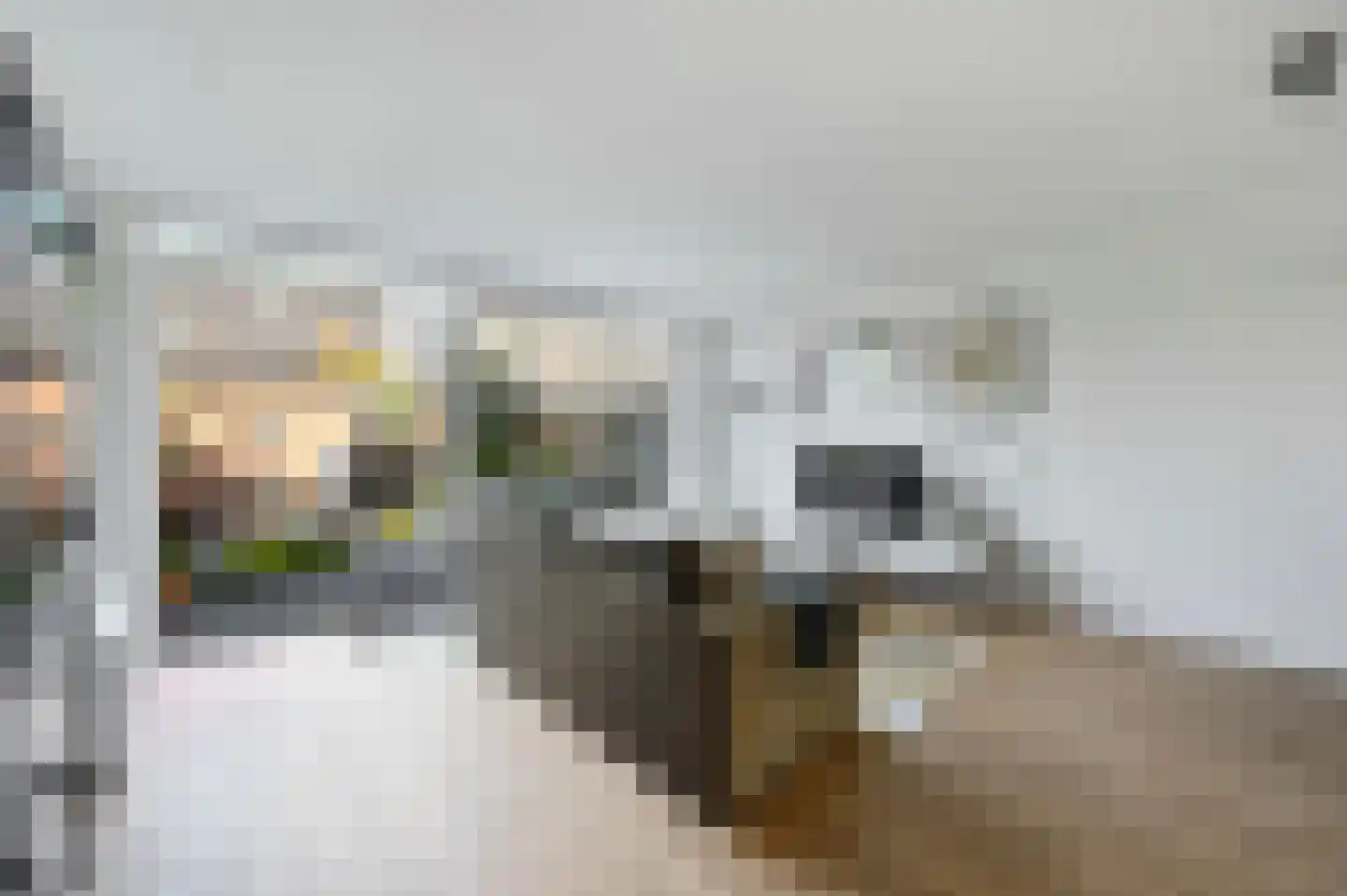 Zwitserlandstraat 30 Alphen aan den Rijn thumbnail 4