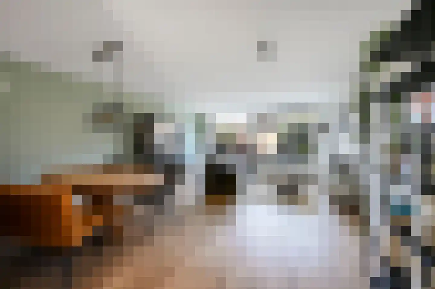 Zwitserlandstraat 30 Alphen aan den Rijn thumbnail 6