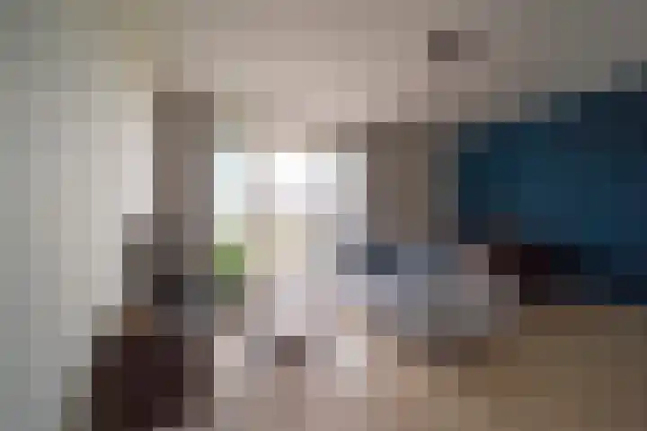 Zwitserlandstraat 43 De Lier thumbnail 4