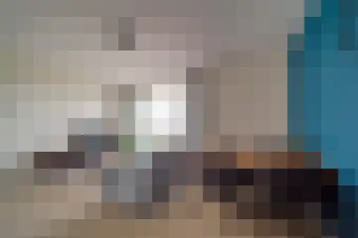 Zwitserlandstraat 43 De Lier thumbnail 5