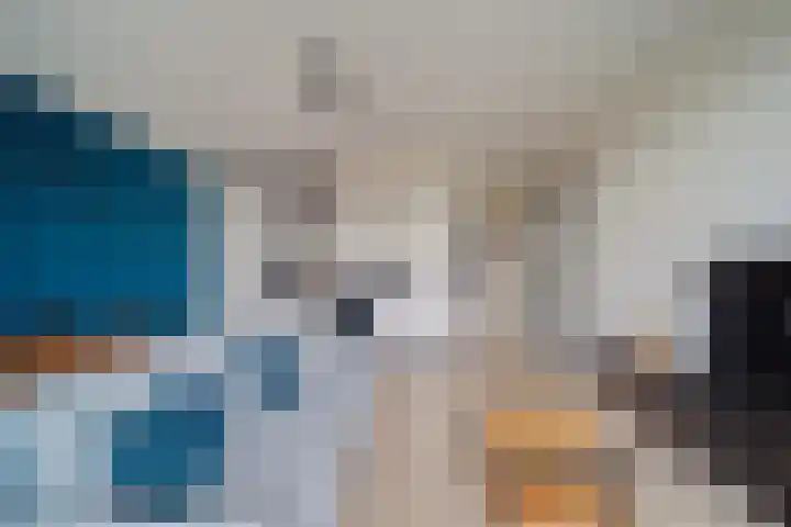 Zwitserlandstraat 43 De Lier thumbnail 6