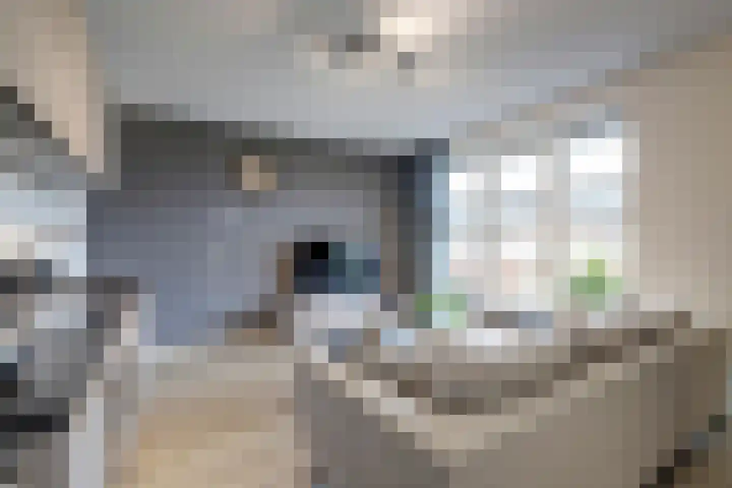 Zwitserlandstraat 5 De Lier thumbnail 12