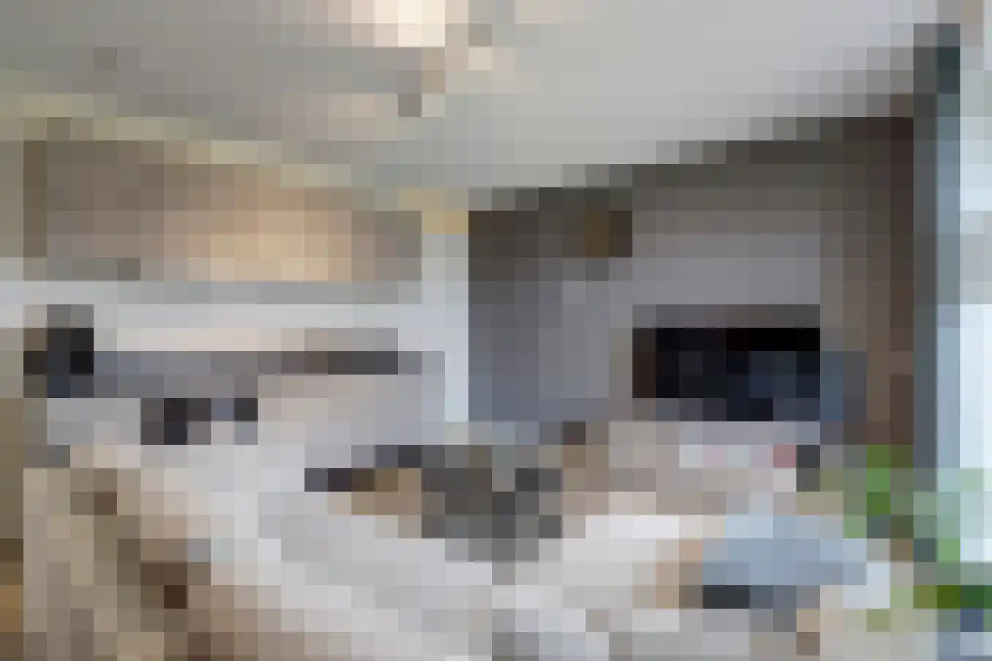 Zwitserlandstraat 5 De Lier thumbnail 13