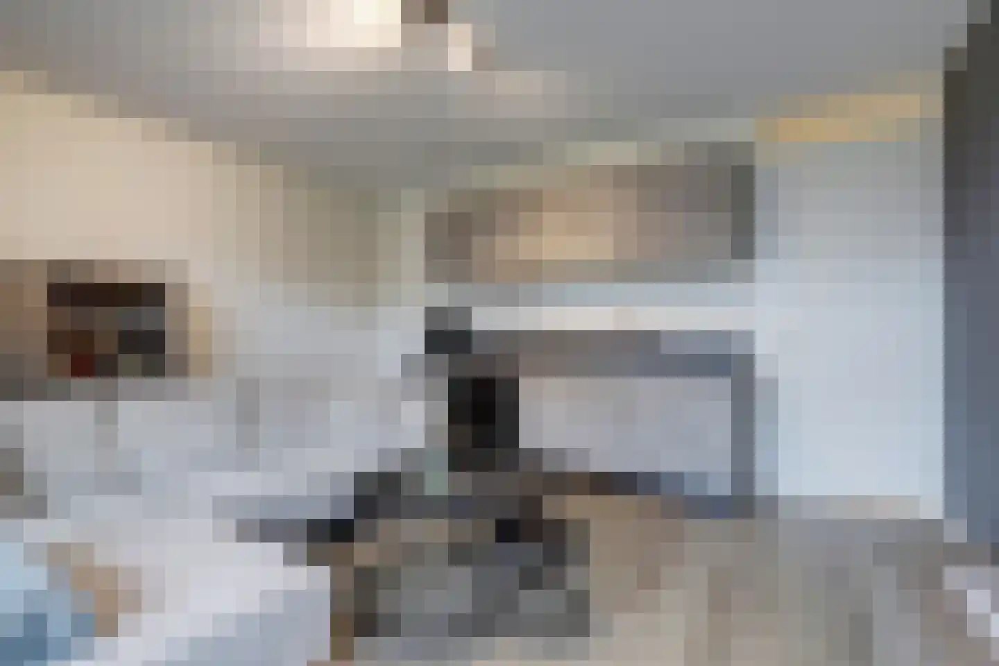 Zwitserlandstraat 5 De Lier thumbnail 15