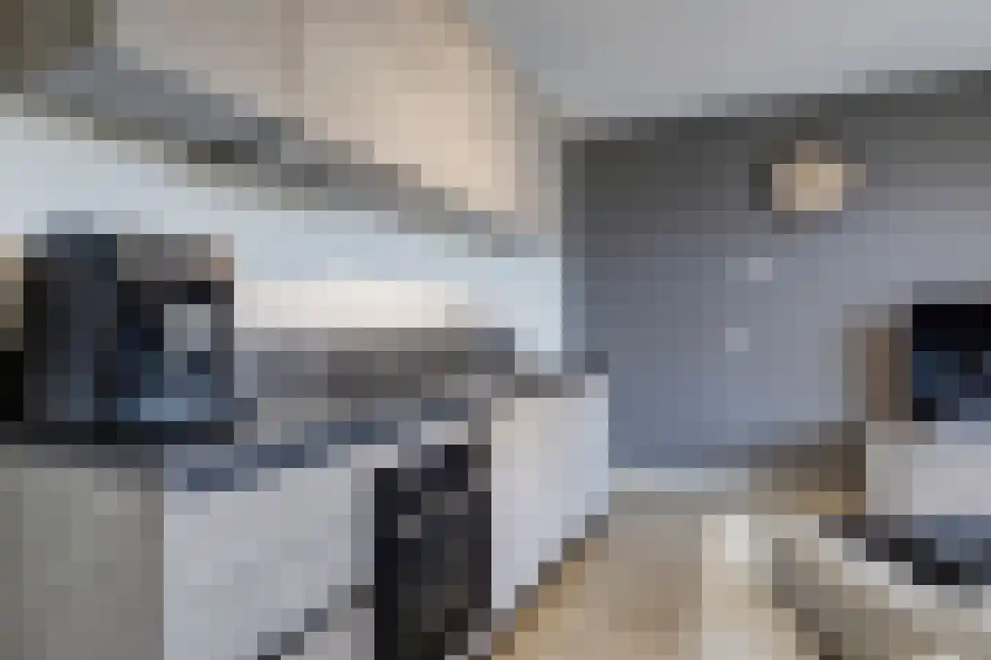 Zwitserlandstraat 5 De Lier thumbnail 16