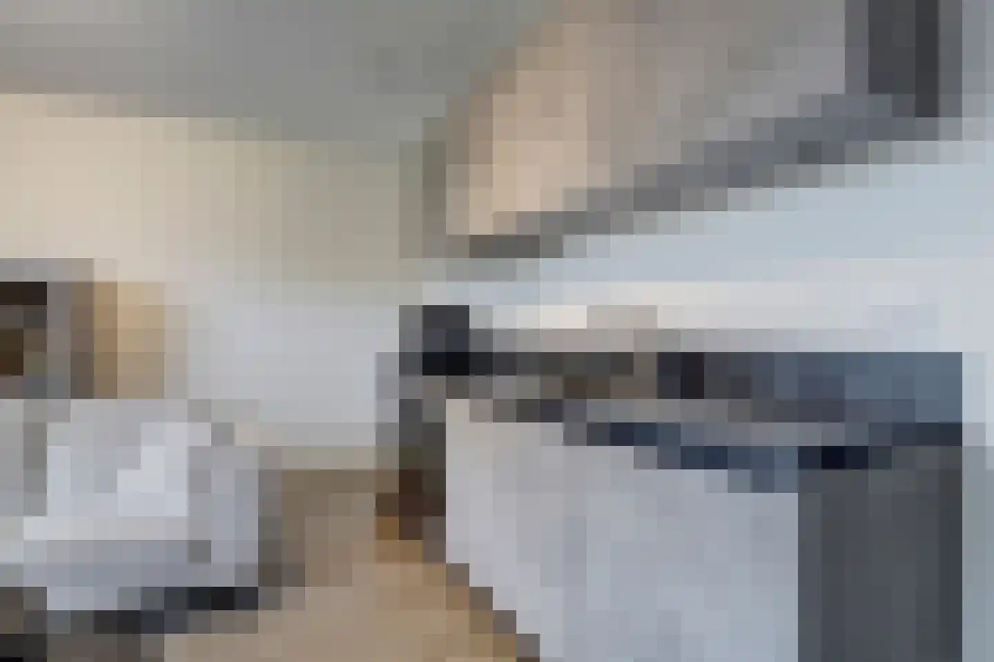 Zwitserlandstraat 5 De Lier thumbnail 17