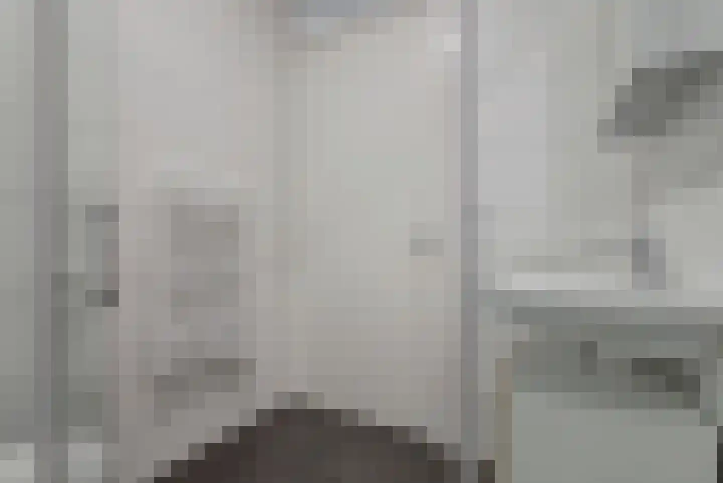 Zwitserlandstraat 5 De Lier thumbnail 20