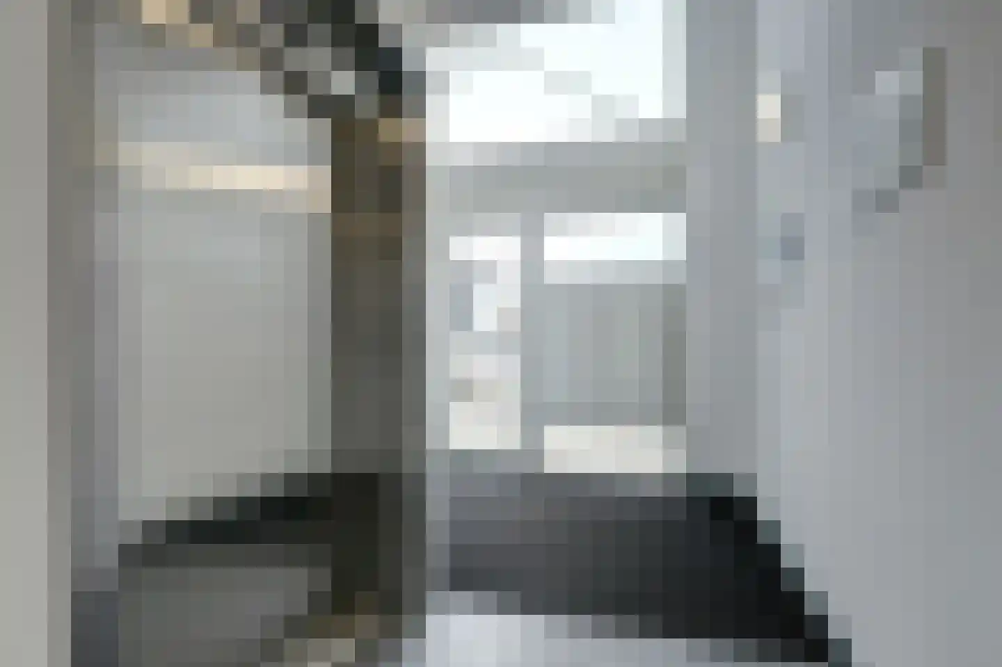 Zwitserlandstraat 5 De Lier thumbnail 26