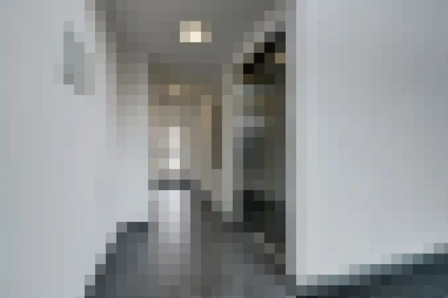 Zwitserlandstraat 5 De Lier thumbnail 27