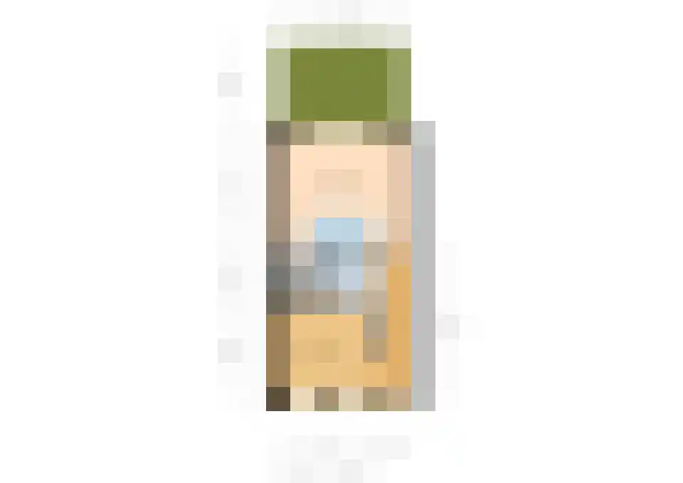 Zwitserlandstraat 5 De Lier thumbnail 38