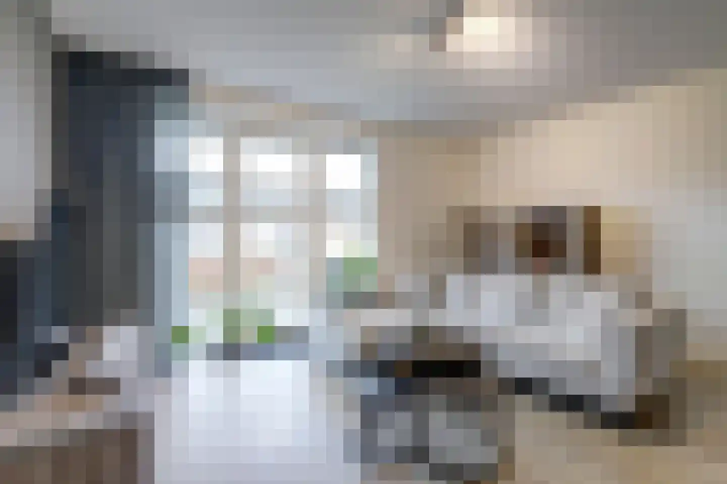Zwitserlandstraat 5 De Lier thumbnail 4