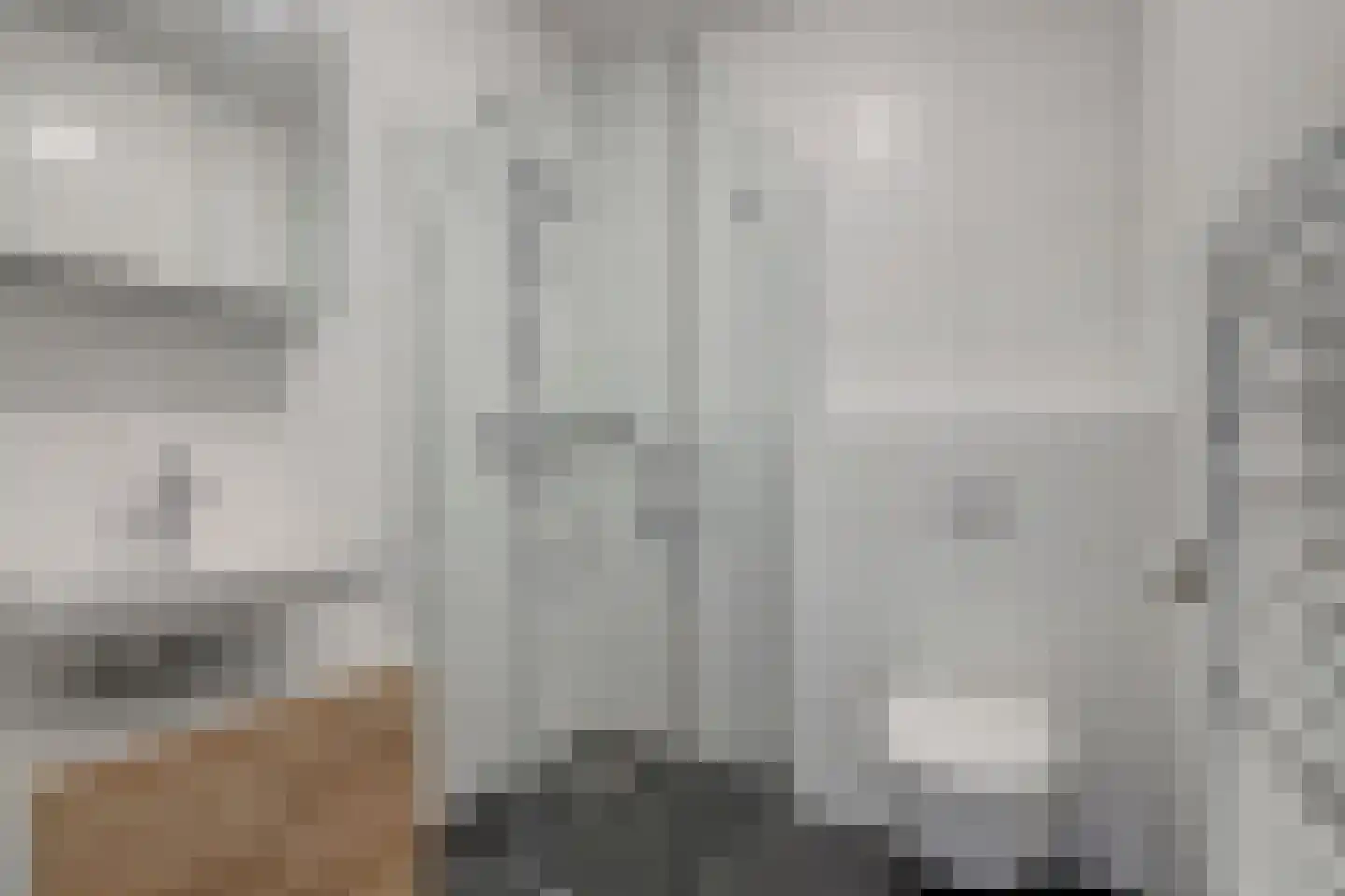 Zwitserlandstraat 5 De Lier thumbnail 6