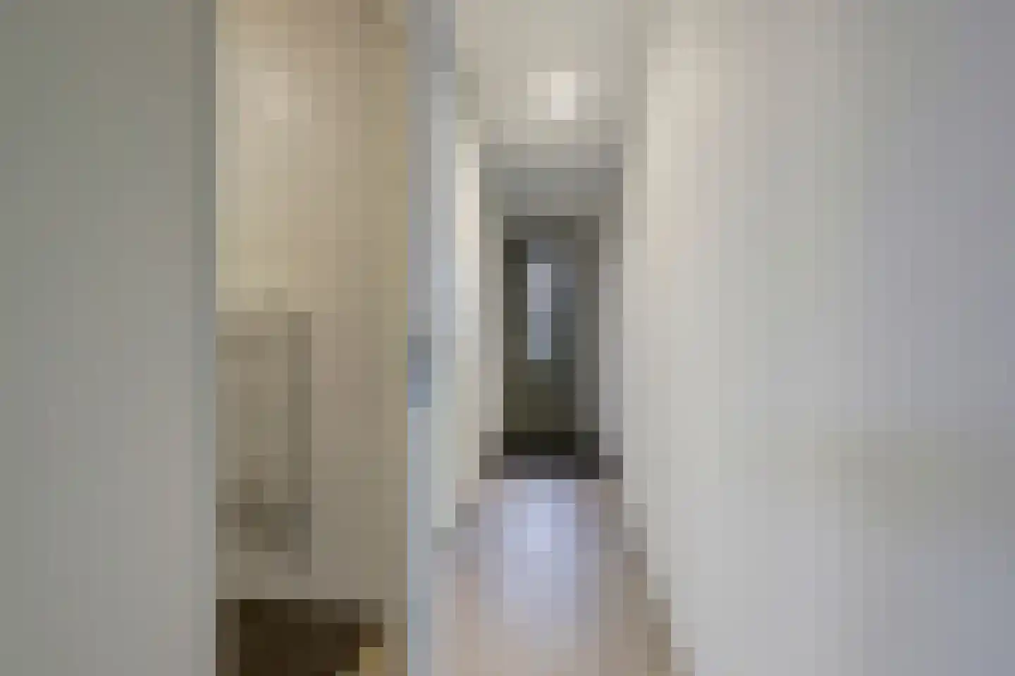 Zwitserlandstraat 5 De Lier thumbnail 9