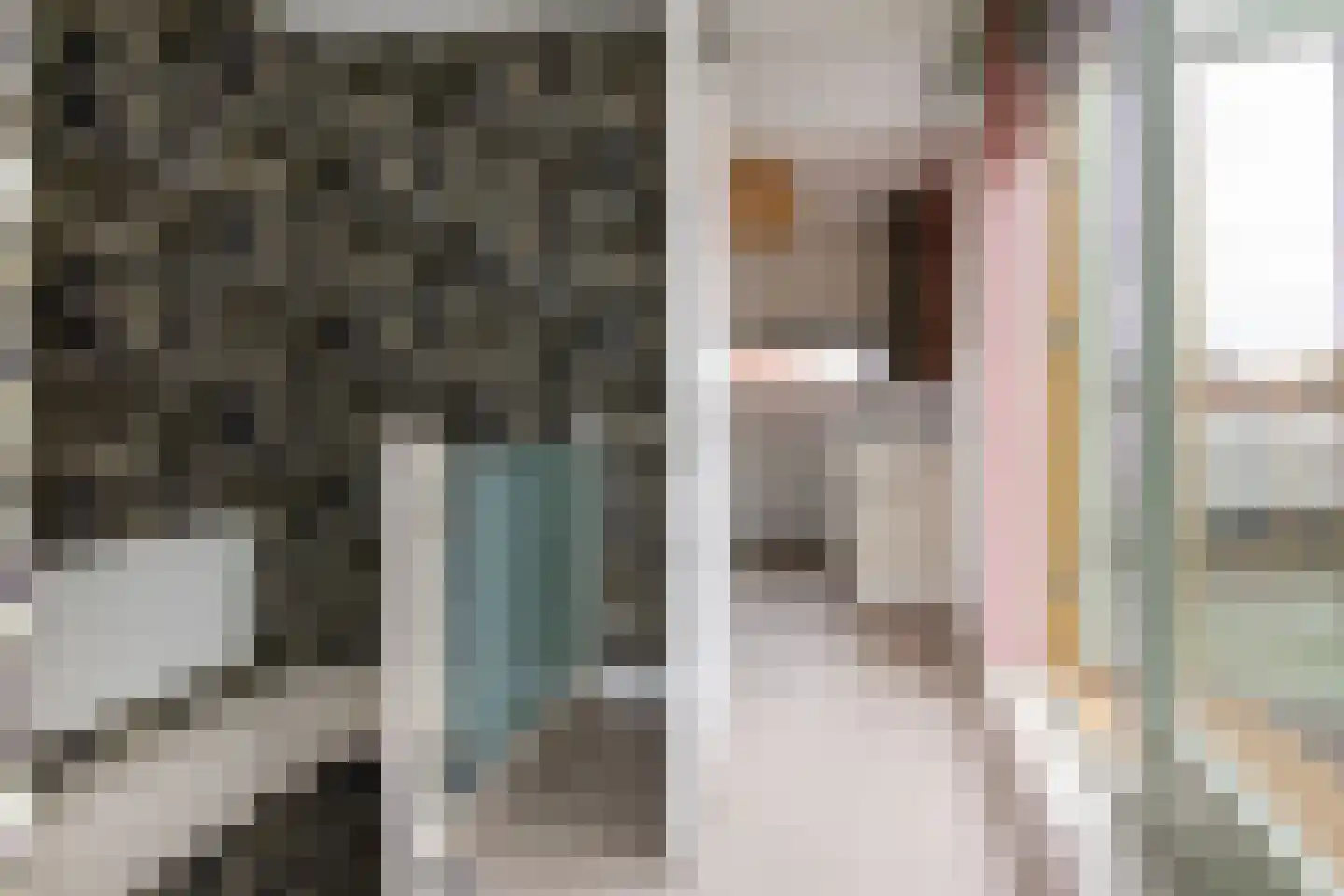 Zwitserlandstraat 5 Haarlem thumbnail 38