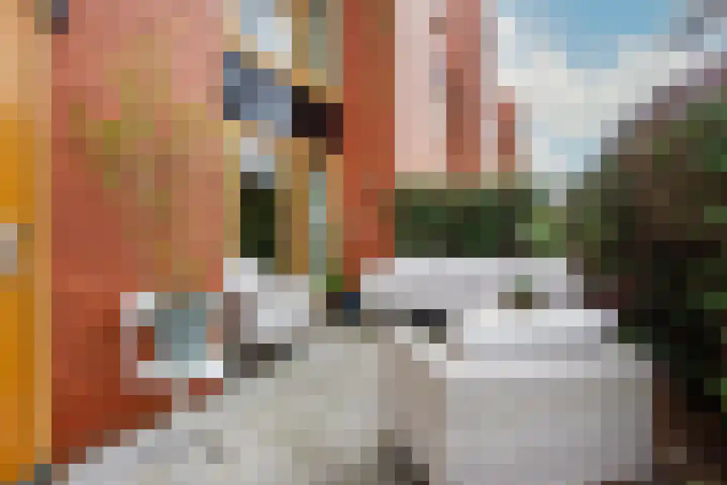 Zwitserlandstraat 5 Haarlem thumbnail 45