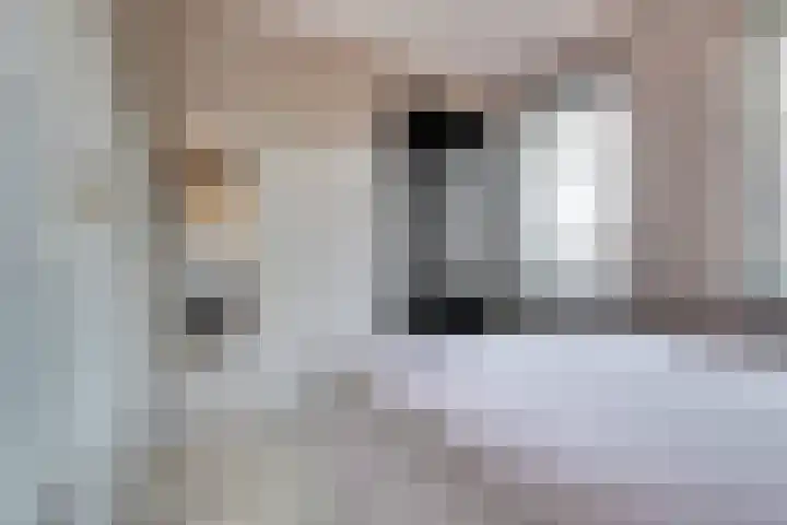 Zwitserlandstraat 51 De Lier thumbnail 20