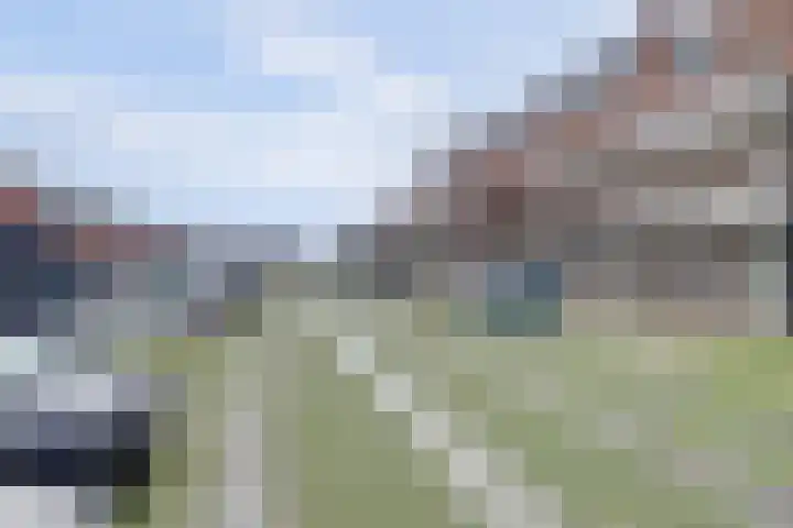 Zwitserlandstraat 51 De Lier thumbnail 31