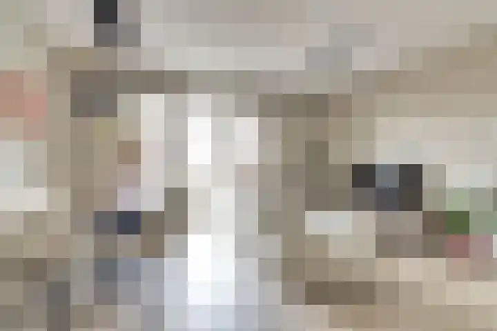Zwitserlandstraat 51 De Lier thumbnail 4