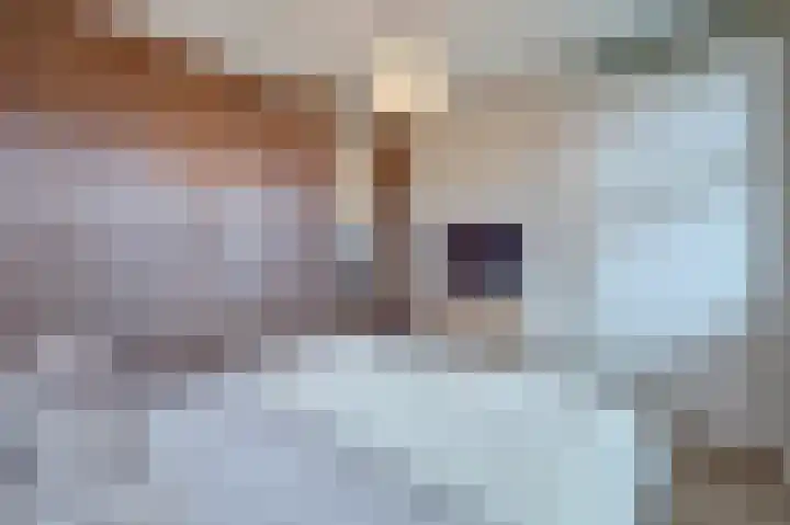 Zwitserlandstraat 53 De Lier thumbnail 18