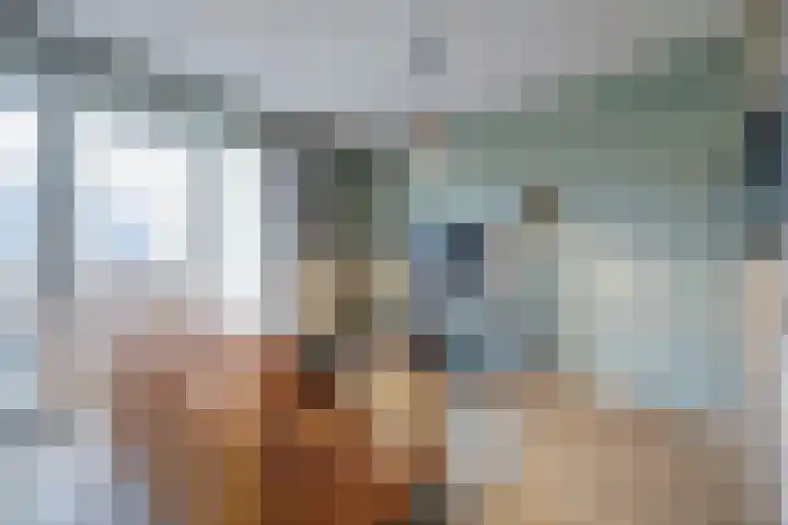 Zwitserlandstraat 53 De Lier thumbnail 4