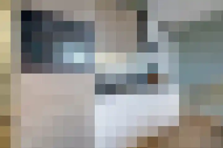 Zwitserlandstraat 53 De Lier thumbnail 5