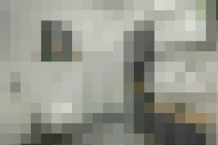Zwitserlandstraat 53 De Lier thumbnail 6