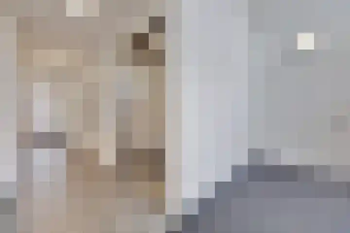 Zwitserlandstraat 53 De Lier thumbnail 8